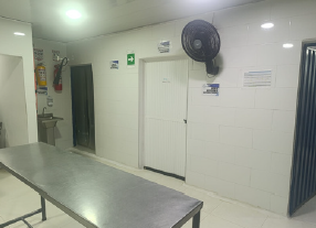 Planta Cartagena 3